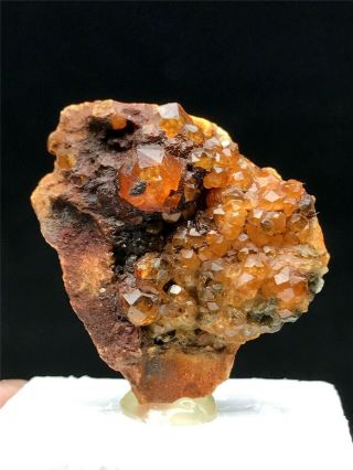 5g Natural Red Spessartine Garnet Fenda Quartz Crystal Rough Mineral Specimens