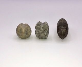 Vintage Carved Stone Zuni Fetish Bear & Owl Mini Stone Carvings 4