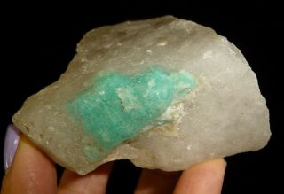 Dino: Blue Amazonite Crystal On Quartz,  Brazil - 202 G - Lapidary Rough/display