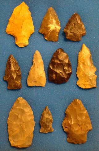 Group Of 10 Georgia Arrowheads/points - Ex Carter - Surface Finds