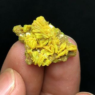 2.  1g Precious Lamellar Green Autunite Crystal On bedrock Mineral Specimen China 4