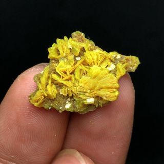 2.  1g Precious Lamellar Green Autunite Crystal On bedrock Mineral Specimen China 5
