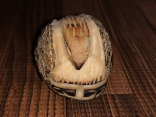 Zuni Carved Tagua Nut Eagle Fetish Signed by Alvert Lamy - Native American 5