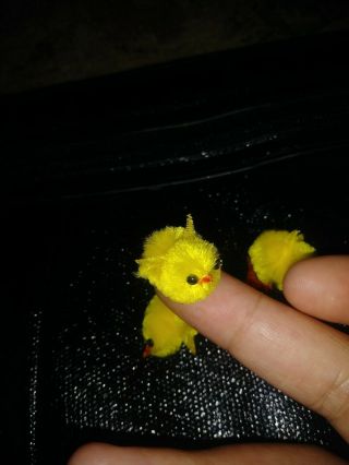 Set 3 Bright Yellow Easter Chicks Chenille & Pipe Cleaner