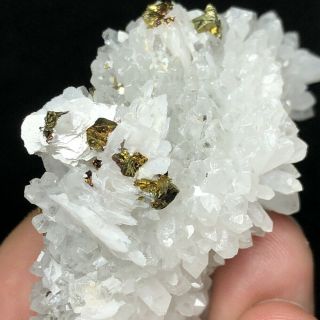 38.  6g Newly Discovered Natural Crystal,  Pyrite,  Calcite Specimen