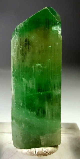 68 Grams Top Quality Terminated Lush Green V Shape Kunzite Crystal Specimen