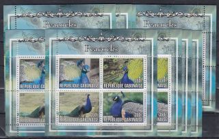 10x Animals Nature Birds Peacocks Perf Private Local Issue - Not Mnh