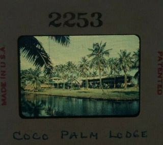 Vintage 1950s Coco Palm Lodge Wailua Kauai Hawaii Slide