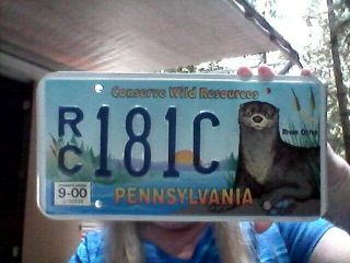 2000 Pennsylvania Conserve Wild Resources/river Otter License Plate