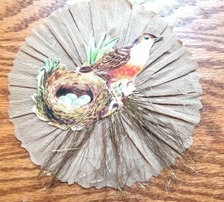 Robin With Eggs In Nest.  Paper Pennsylvania Homemade Style.  2000.  Old Trim