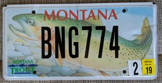 Montana License Plate Rainbow Trout Fish Fishing