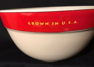 Mickey Mouse Ceramic Bowl Authentic Disney Parks 8.  25 