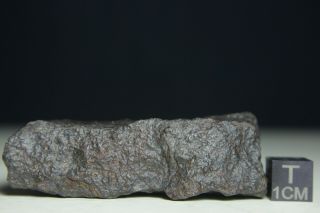 Nwa Unclassified Meteorite 55.  2 Grams Windowed With Desert Polish And Low Metal