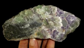 Dino: Purple & Green Fluorite Crystal Specimen,  Mexico - 254 Grams