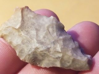 Bl Group 100 Authentic Archaic Indian Arrowhead From Wolf Fam.  Coll.