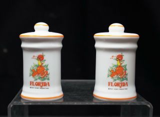 Vintage Walt Disney World Florida - Orange Bird Salt & Pepper Shakers Rare Japan
