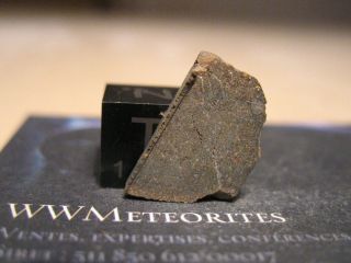 Meteorite Nwa 11028 - Carbonaceous,  Co3 Chondrite.