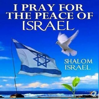 Jerusalem " I Pray For The Peace Of Israel " Shalom Isreal Magnet 3 " X 3 "
