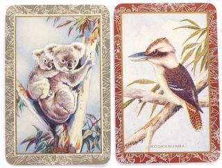 Pair Vintage Swap Cards.  Koala,  Kookaburra.  Australia C1940s.  Artist N W Cayley