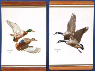 Pair Vintage Swap Cards C1950s.  Game Birds.  Ducks.  Artist Richard Bishop.  B&b