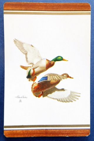 PAIR VINTAGE SWAP CARDS c1950s.  GAME BIRDS.  DUCKS.  ARTIST RICHARD BISHOP.  B&B 2