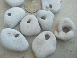 10 Medium Beach Natural Flat Pebbles Stone Rock With Holes From Israel 2
