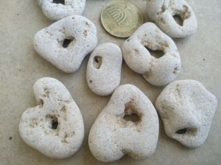 10 Small Medium Beach Natural Pebbles Stone Rock With Holes Wow From Israel 55