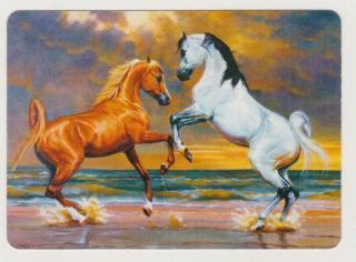 Swap/playing Card Playful Horses In Seascape Modern Horizontal Wide X 1
