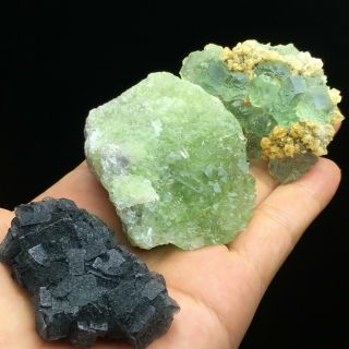 153g3pcs Natural Translucent Green/ Blue Fluorite Crystal Mineral Specimen/china