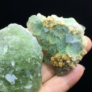 153g3PCS Natural Translucent Green/ Blue Fluorite Crystal MIneral Specimen/China 4