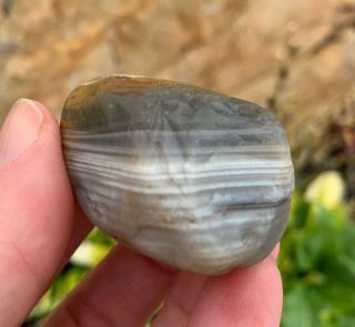 Lake Superior Agate 2.  0 Ounce Gray & Whilte Water Level Banding With Yellow