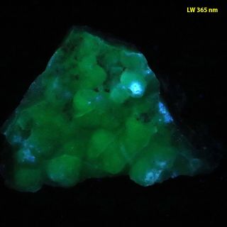 bb: Hyalite Opal from Colorado - Bright Green Fluorescent 3