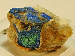 4748 Linarite Barite Malachite Mex - Tex Mine Micromount Rare Mineral Specimen