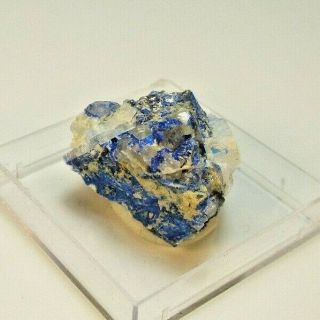 4742 Linarite Galena Barite Mex - Tex Mine Nm Micromount Rare Mineral