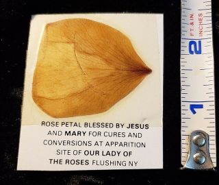 Vintage Blessed Virgin Mary Rose Petal Relic Our Lady Of The Roses Shrine Ny