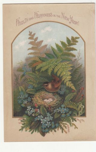 Health And Happiness In Year Ferns Bird Nest Eggs Absent Vict Card C1880s