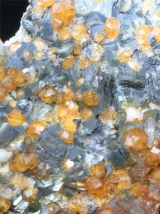 90g Natural Gules Fanta Spessartine Garnets Quartz Crystal Specimen China FuJian 5