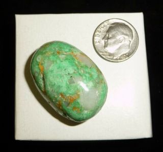 Variscite Tumbled Chakra Stone Usa 16.  1 Grams Reiki Crystal