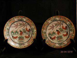 Chinese Famille Rose Porcelain Roosters Cocks Set Of (2) 7 " Plates Vintage