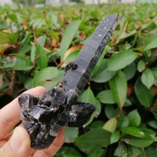 100g Natural Beauty Rare Black Quartz Crystal Cluster Mineral Specimen FCA469 4