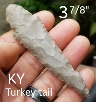 Authentic Turkey Tail Arrowhead Spear Point Native Indian Artifact Kentucky