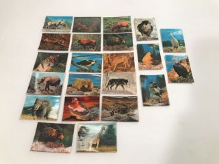 Set Of 22 Rare Cracker Jacks Lenticular 3 - D Cards Canadian Issue Made Japan Lqqk