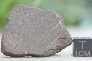 Al Haggounia 001 El3 Fossil Meteorite 17.  7 Grams Enstatite Low Metal Chondrite