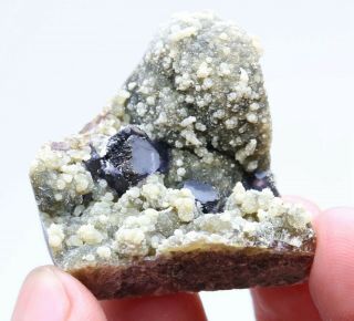 26g Natural Purple Fluorite Pyrite Mineral Specimens from Inner Mongolia,  China 2