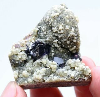 26g Natural Purple Fluorite Pyrite Mineral Specimens from Inner Mongolia,  China 5