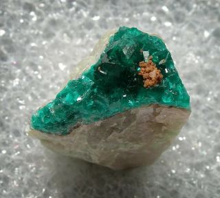 Emerald Green Dioptase On Quartz: Omaue Mine,  Kaokoveld,  Kunene,  Namibia - Nr