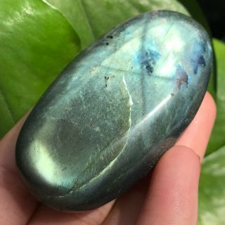 Natural Colored Labradorite Quartz Stone Reiki Healing Collectible 67g B69