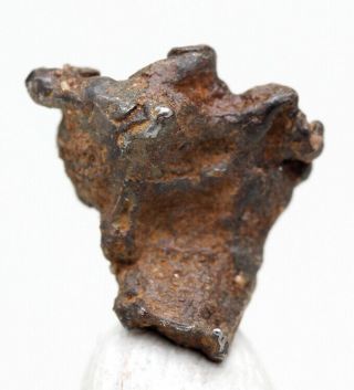 Very Rare Imilac Iron Meteorite Pallasite Sculptural Skeleton Fragment Chile