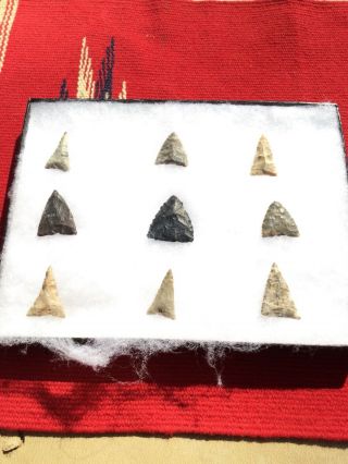 Indian Artifacts / 9 Fine Ohio Ft Ancient Triangles / Authentic Arrowheads