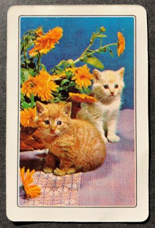 Vintage Woolworths Swap Card - 2 Sweet Kittens - Blank Back